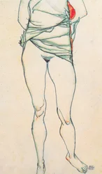 Female Torso with Raised Shirt